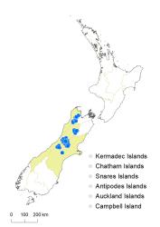 Veronica linifolia distribution map based on databased records at AK, CHR & WELT.
 Image: K.Boardman © Landcare Research 2022 CC-BY 4.0